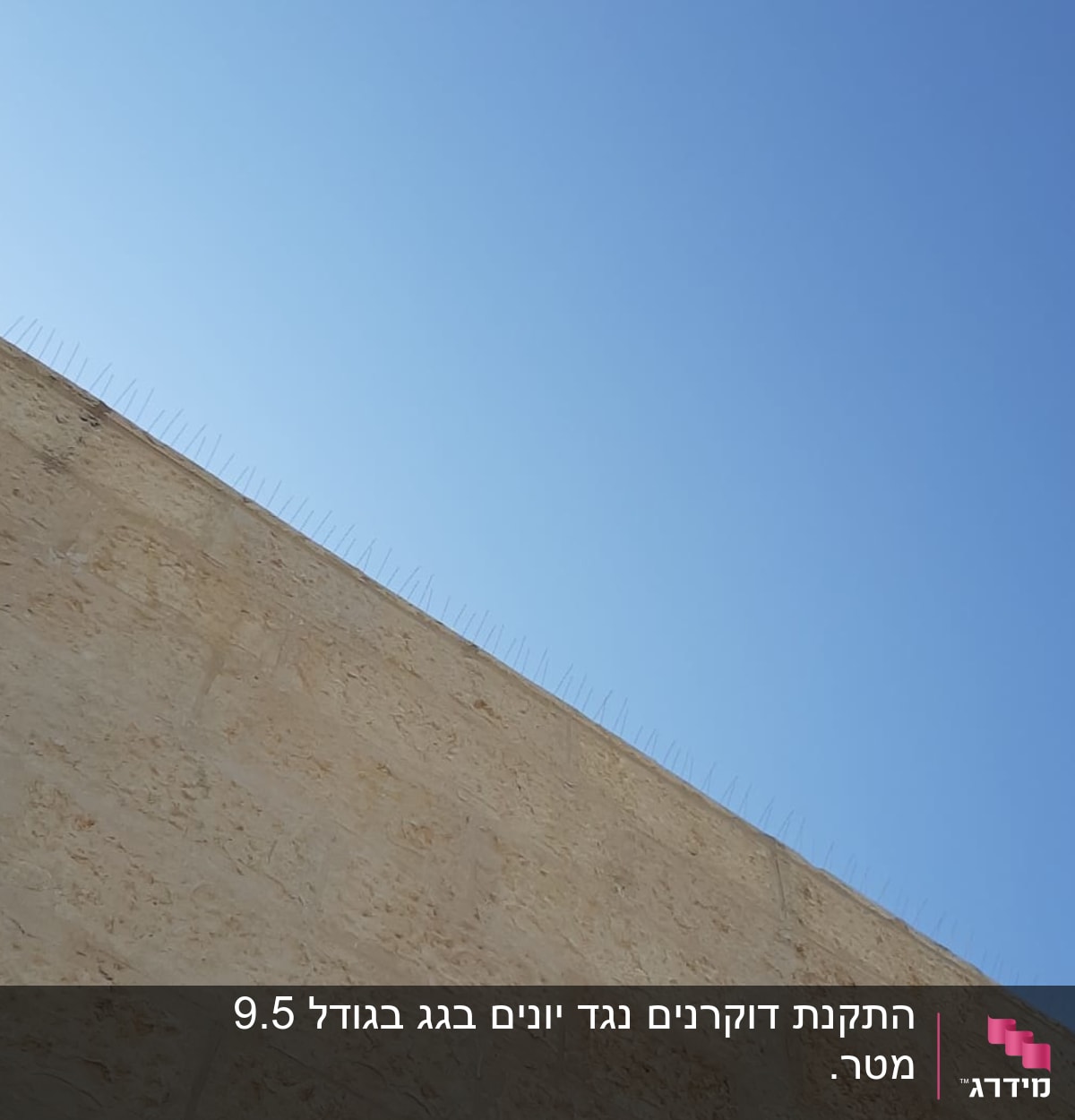 קוצים למניעת יונים על קיר אבן